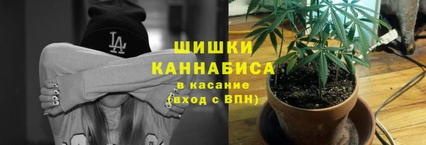стафф Белоозёрский