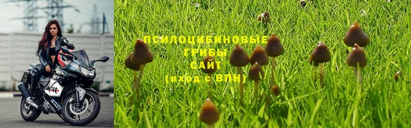 бутират Беломорск