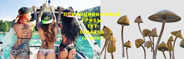 таблы Белокуриха